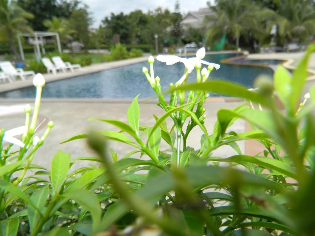 Pai Iyara Resort Extérieur photo